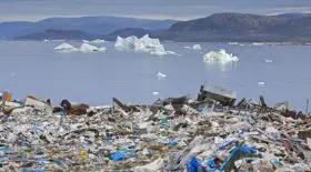 Arctique