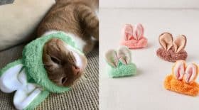 bonnet oreilles de lapin