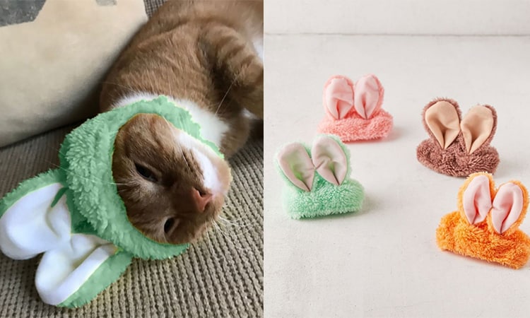 Les 7 Meilleures Marques De Chapeau Lapin Oreilles Mobiles En 2022 Les 7 Meilleures Marques De Chapeau Lapin Oreilles Mobiles En 2022