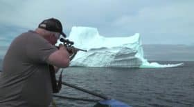 Iceberg