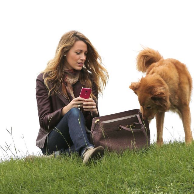 Blake-Lively-animal-compagnie