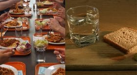 Cantine