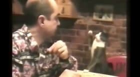 chat langage des signes