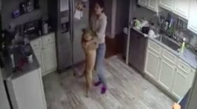 Chien danse