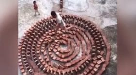 dominos enfant