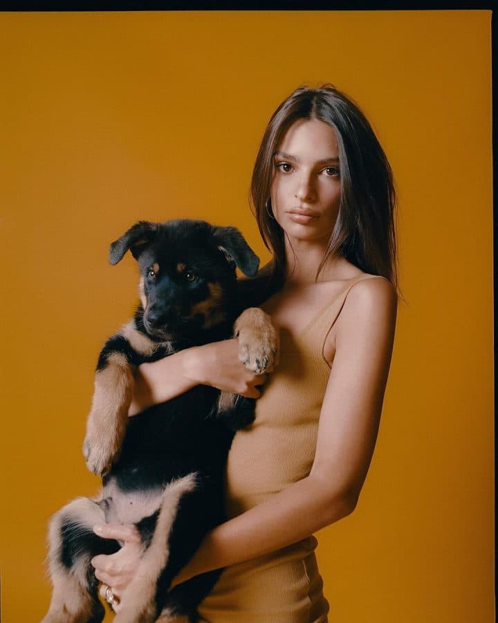 Emily-Ratajkowski-animal-compagnie
