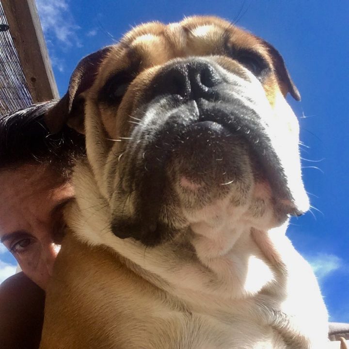 Florence-Foresti-animal-compagnie