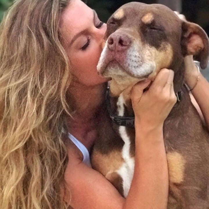 Gisele-Bündchen-animal-compagnie