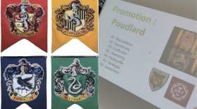 Harry Potter lycée