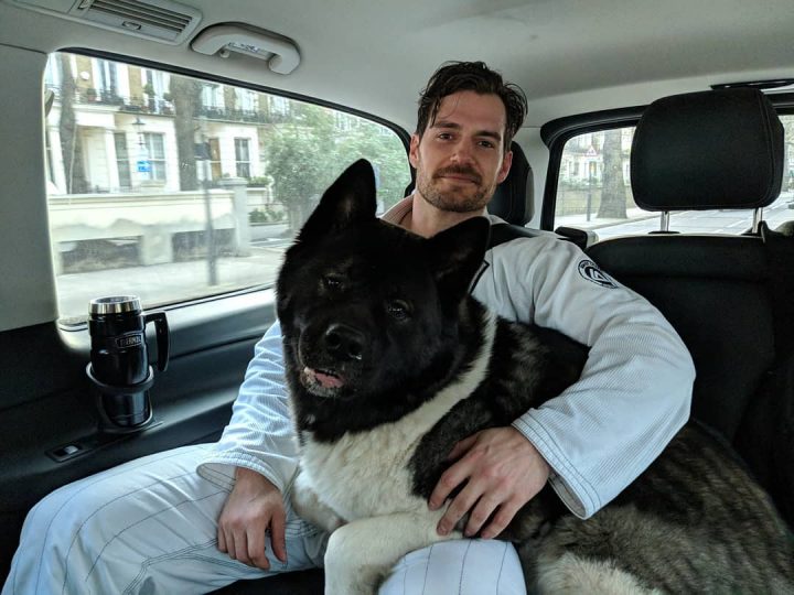 Henry Cavill animaux de compagnie 