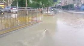 inondation poisson