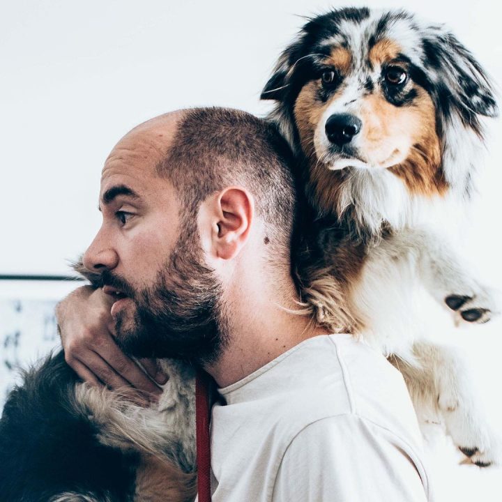 Kyan-Khojandi-animal-compagnie