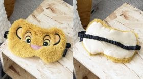 le roi lion masque de nuit