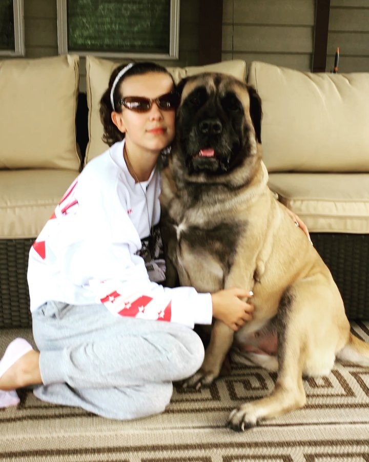 Millie-Bobby-Brown-animal-compagnie