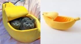 panier banane