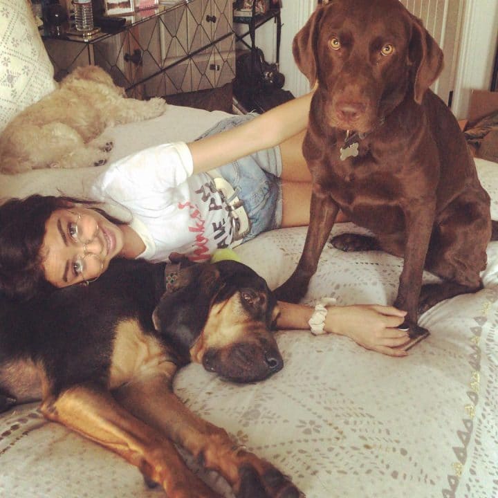 Sarah-Hyland-animaux-compagnie