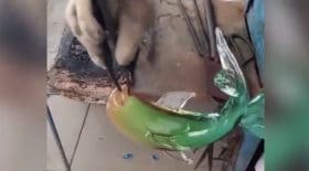 souffleur de verre