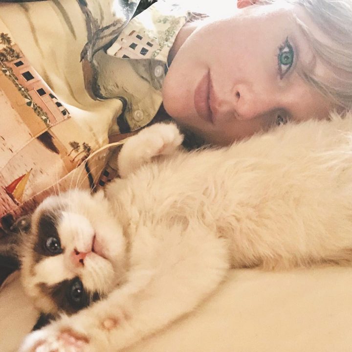 Taylor-Swift-animal-compagnie