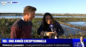 une-journaliste-de-bfm-tv-semmele-completement-les-pinceaux-et-perd-tous-ses-moyens-en-plein-direct