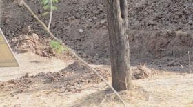 a-leopard-cache-sur-cette-photo-rend-les-internautes-completement-fous