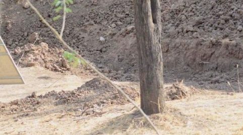 a-leopard-cache-sur-cette-photo-rend-les-internautes-completement-fous