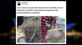 australie