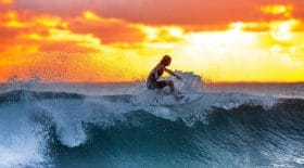 il-saute-planche-surf-sur-requin