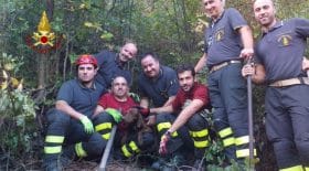 Un chien enterré vivant sauvé