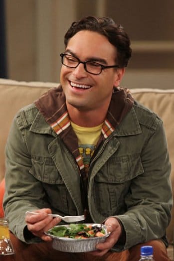 Johnny Galecki - Série