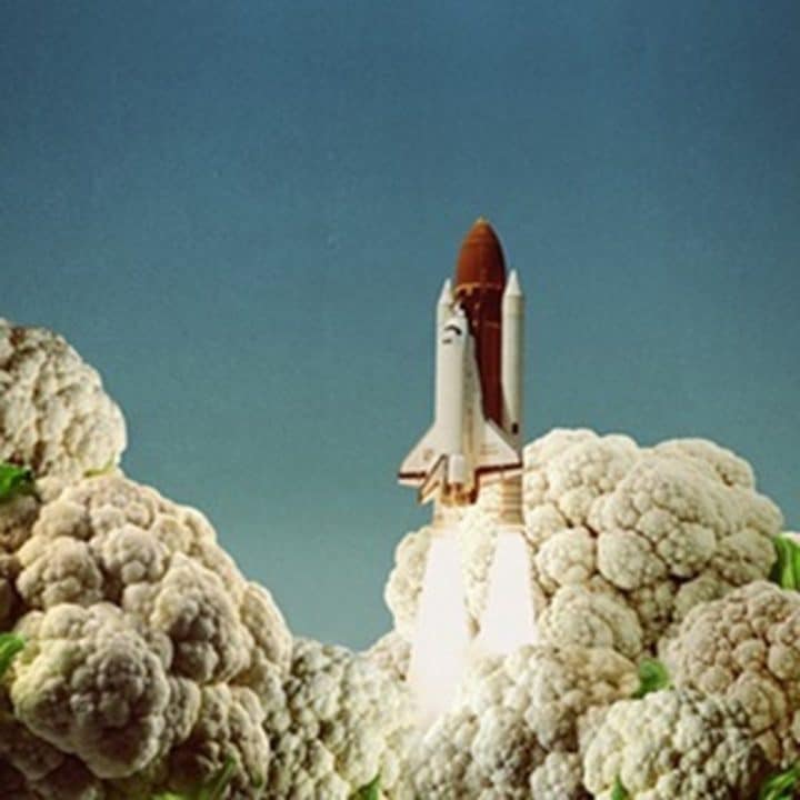 Mohanad Shuraideh 24