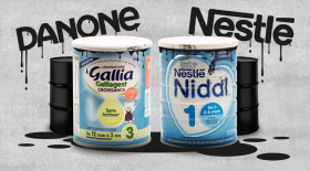 nestlé et danone laits contaminés