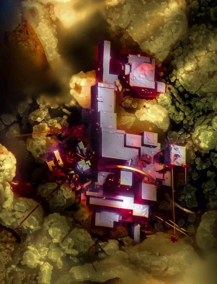 Photo monde microscopique 13