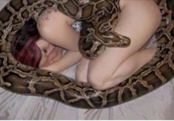 serpent