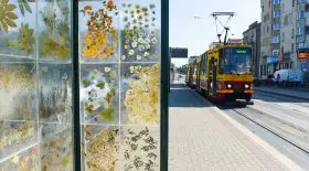 Abribus fleurs 1