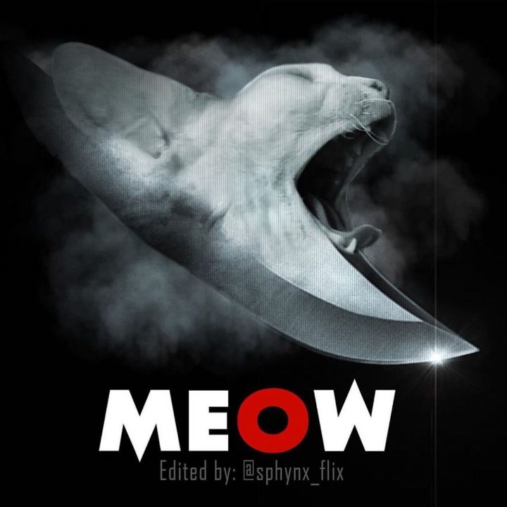 Affiche film chat 33