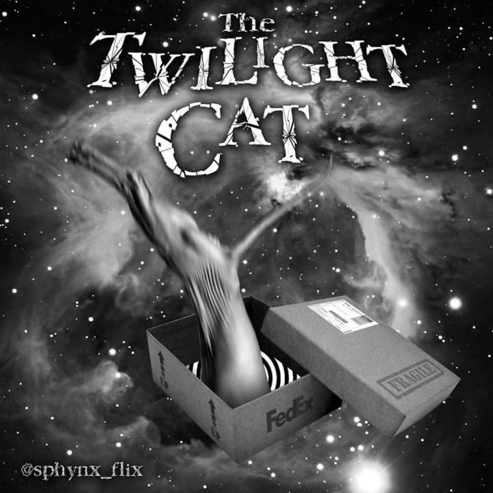 Affiche film chat 34