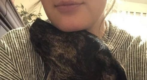 alors-quil-devait-etre-euthanasie-elle-adopte-un-chien-dans-un-refuge-et-decouvre-une-incroyable-surprise
