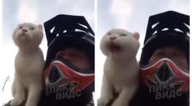 chat moto