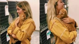 Chat qui adopte une femme