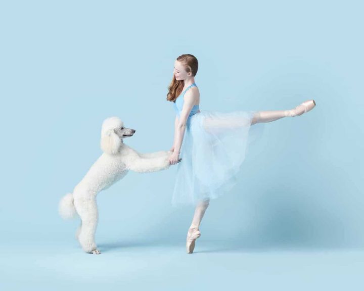 Danseurs de ballet chien 1