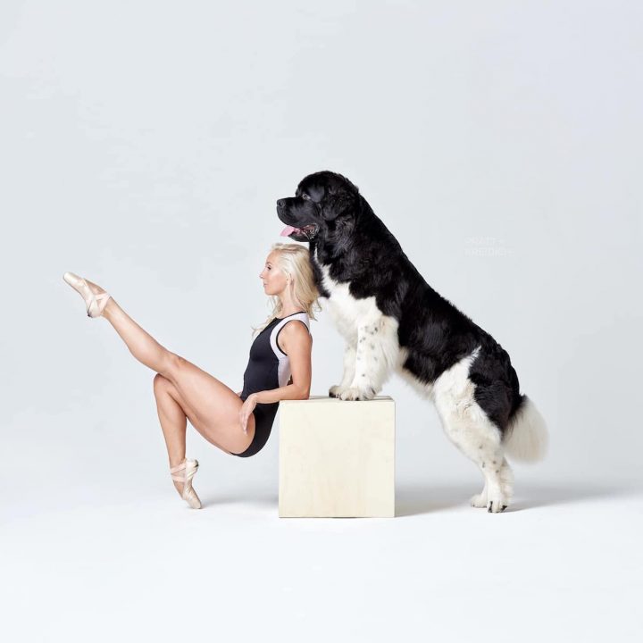 Danseurs de ballet chien 10