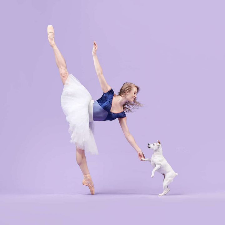 Danseurs de ballet chien 11