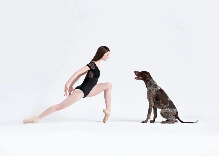 Danseurs de ballet chien 12