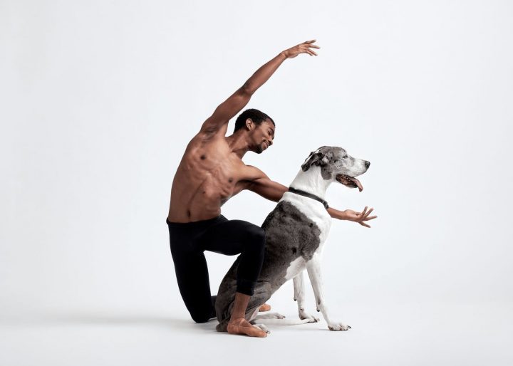 Danseurs de ballet chien 14