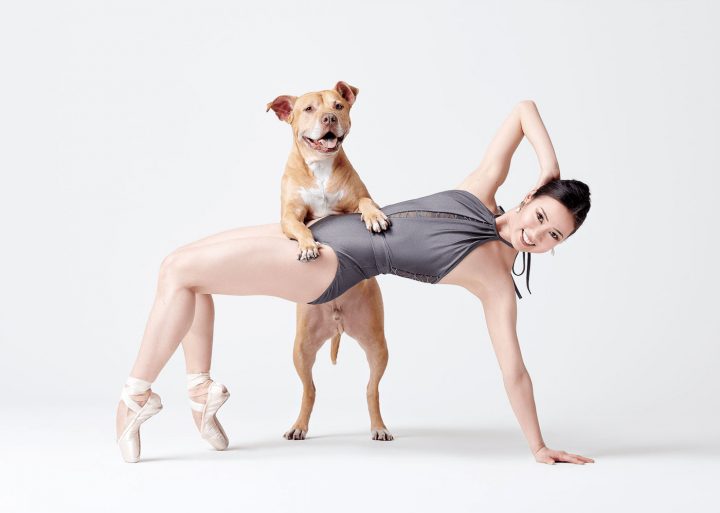 Danseurs de ballet chien 20