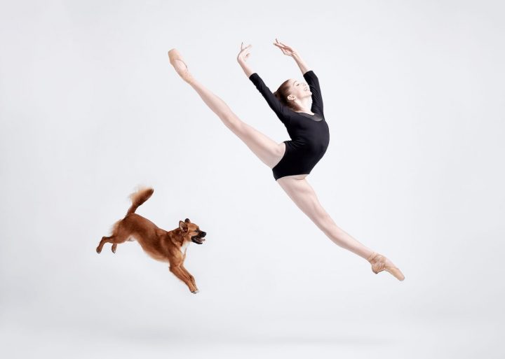 Danseurs de ballet chien 3