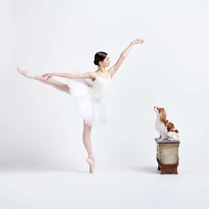 Danseurs de ballet chien 5