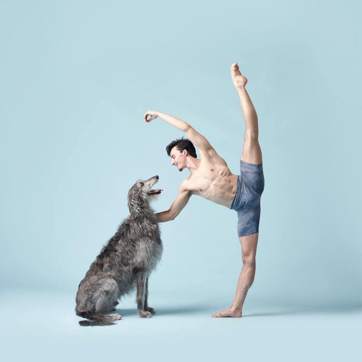 Danseurs de ballet chien 6