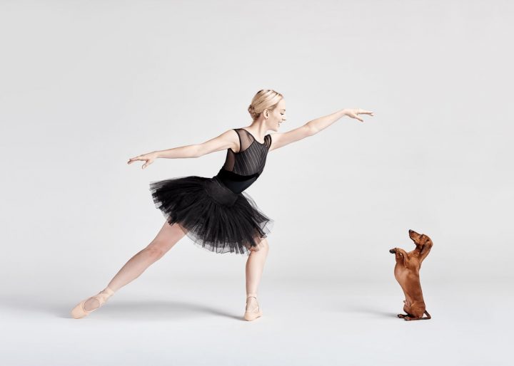 Danseurs de ballet chien 7