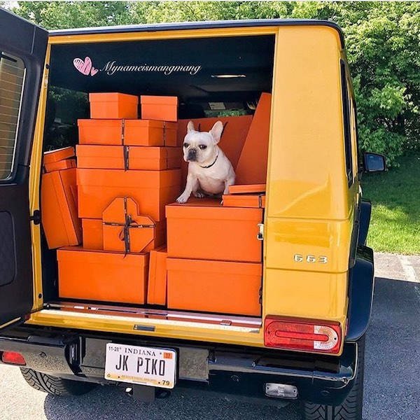 enfants privilégiés 26